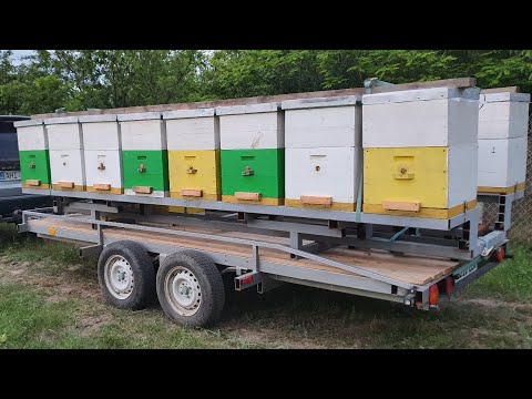 Platforma Apicola   #@ ( Trailer Hives )