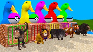 Paint Animals Cow Duck Dog Gorilla Tiger Dinosaur Elephant Zebra Fountain Crossing Animals 2023