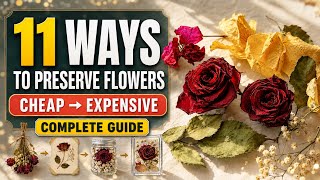 11 Ways To  Preserve Flowers|Complete Guide|Economical Methods 