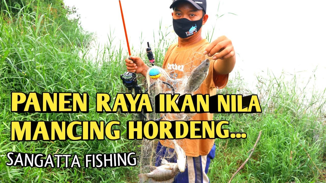Cara Cepat Menangkap Ikan Nila Teknik Mancing Jaring Hordeng Terbaru