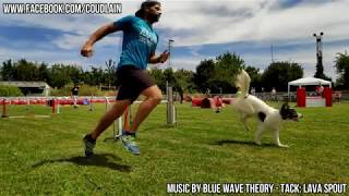 Prueba Agility: 10º Aniversario del Centro Canino Xanastur de Gijon, Asturias