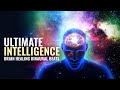 Ultimate Intelligence: Heal Your Brain, Intuition, Creativity || Brain Healing Binaural Beats