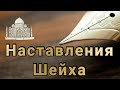 #Ислам #Наставления  О собаках