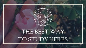 The Best Way to Study Herbs