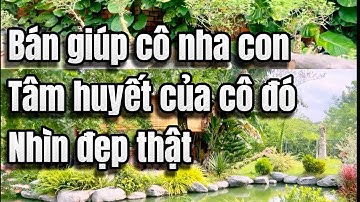 Định cư nước ngoài cô tín bán gấp căn vila tâm huyết ngay trung tâm của châu đức bà rịa vũng tàu