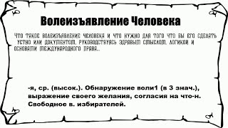 Что такое Волеизъявление Человека и что нужно для его создания