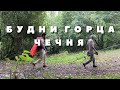 Встретили оленя в Чечне. Как проводят досуг Чеченцы