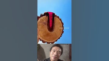 Vá Thớt Siêu Nghệ #music #love #song #coversong #singersongwriter #ladygaga #goodjob #art #nature