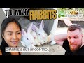 Rabbits are out of control  the crowns vlog