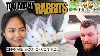 RABBITS ARE OUT OF CONTROL !!! The Crowns Vlog