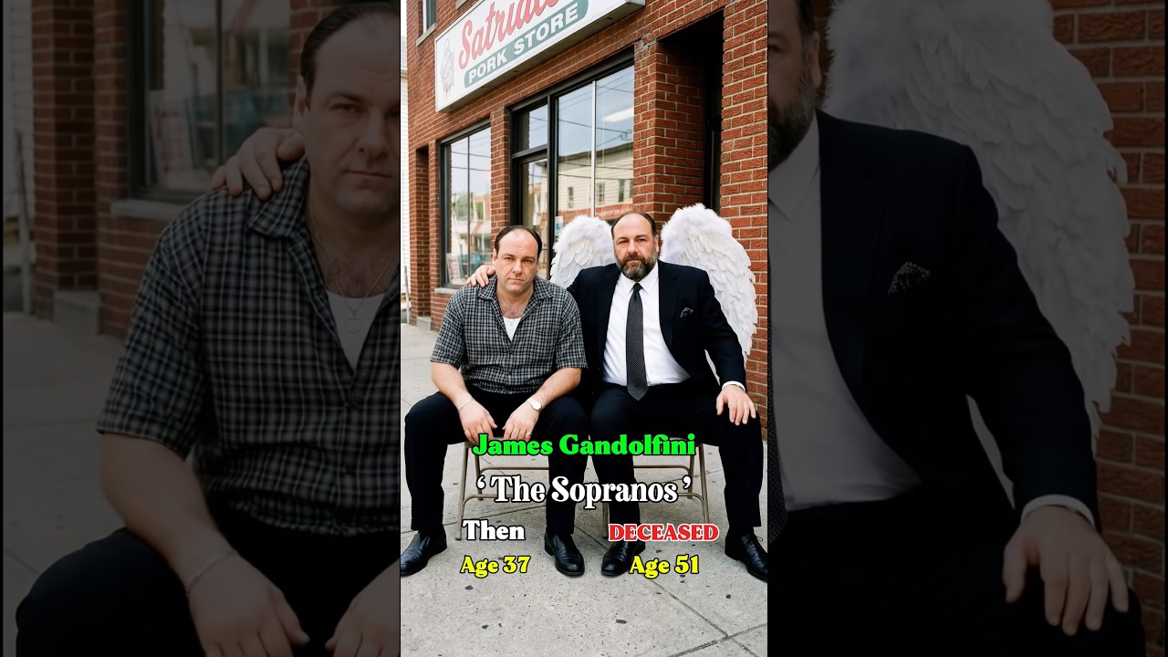 The Sopranos Cast: Then and Now!