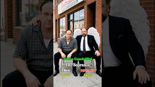 The Sopranos Cast: Then and Now!