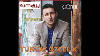 Turgay Özçelik -  Ağlama Yar Resimi