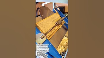 Honey Uncapping Machine | Fast & Efficient Wax Removal for Beekeepers in the USA