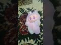 снял видео с лабубу