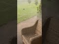 July 13, 2023: Video of Baseball Sized Hail Southeast of Moorhead, Minnesota