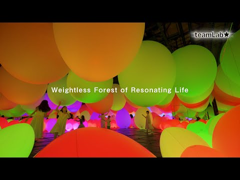 Weightless Forest of Resonating Life