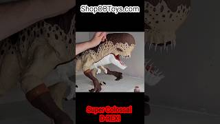 Download Lagu OB TOYS SUPER COLOSSAL D-REX #jurassicworld #jurassicpark #dinosaur MP3 Download Lagu OB TOYS SUPER COLOSSAL D-REX #jurassicworld #jurassicpark #dinosaur MP3