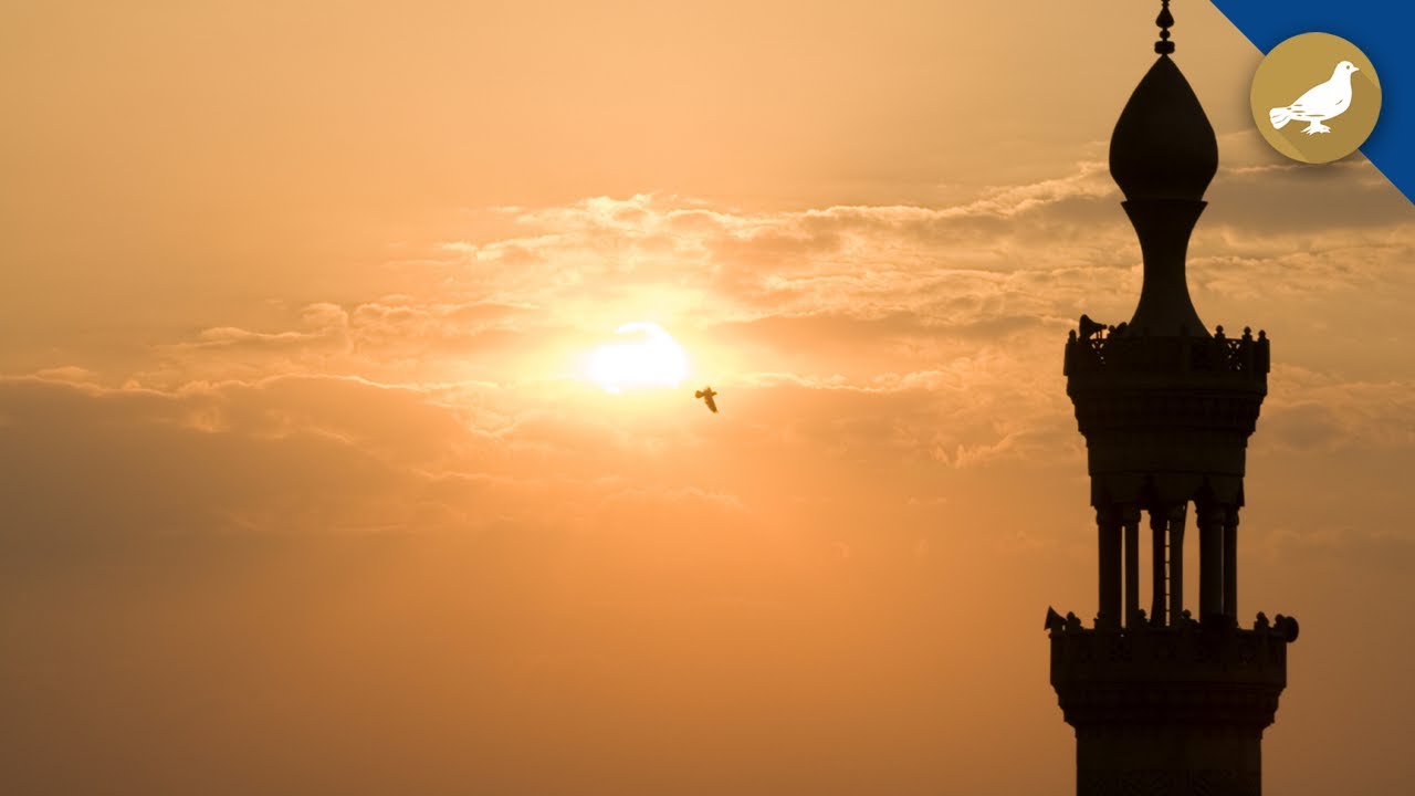 Islam and Purpose of Life