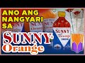 PAANO NAGSIMULA ANG SUNNY ORANGE | Bakit Nawala Ang Sunny Orange?