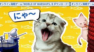 CAT_master_echo