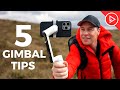 Master your shots 5 smartphone gimbal tips for mobile filmmakers