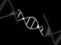 Not a Disease: The Hidden Message in Your DNA #Shorts