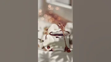 نغمة واتساب 