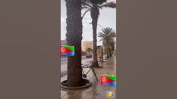 Asmara Eritrea🇪🇷❤🇪🇷 #tiktok #army #entertainment #eritreanmusic #edit #eritrean #love #tiktokworld