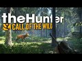 The Hunter - Что тут в лесах водится? #4