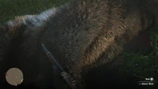 Red Dead Redemption 2 How to Get Perfect Grizzly Pelt