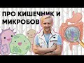 Дмитрий Алексеев — Работа кишечника и микробов в нём
