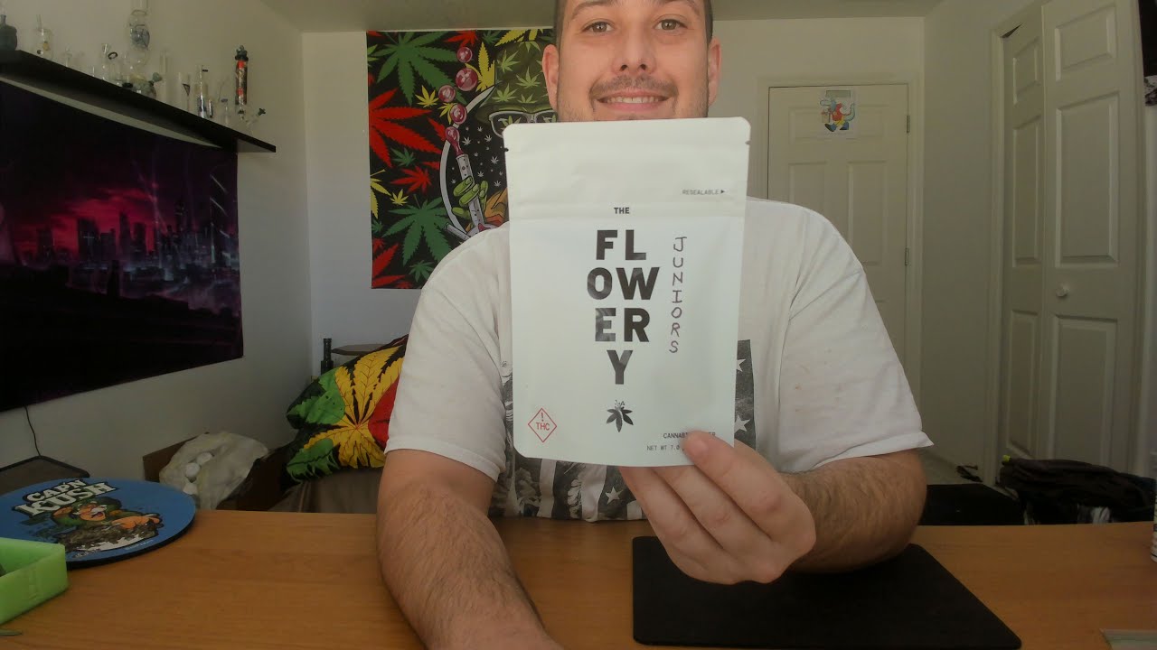 The Flowery Flower - Lemon Molotov Juniors(2023)