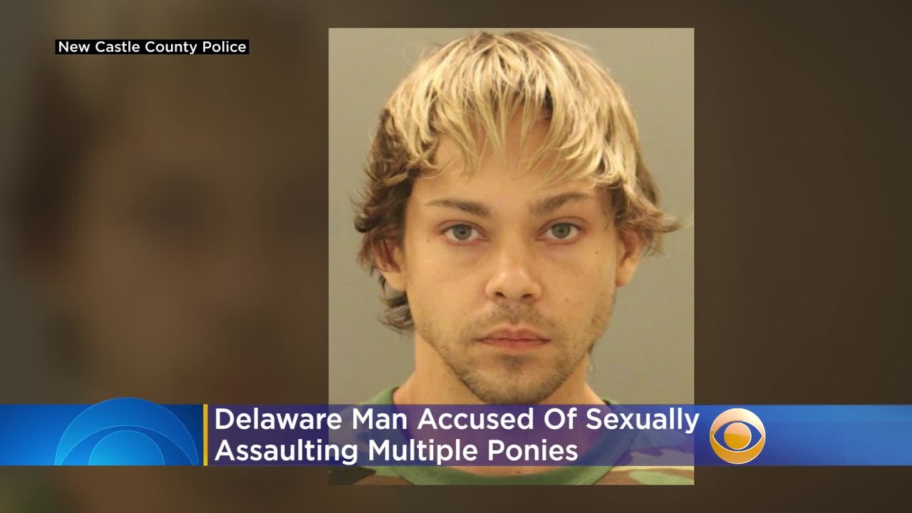 Delaware Man Accused Of Sexually Assaulting Multiple Ponies - YouTube