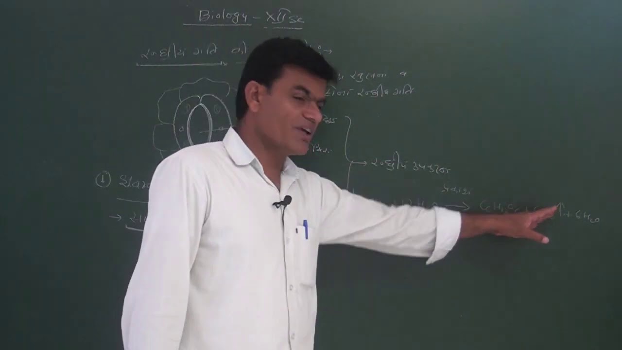 lbn17 - YouTube