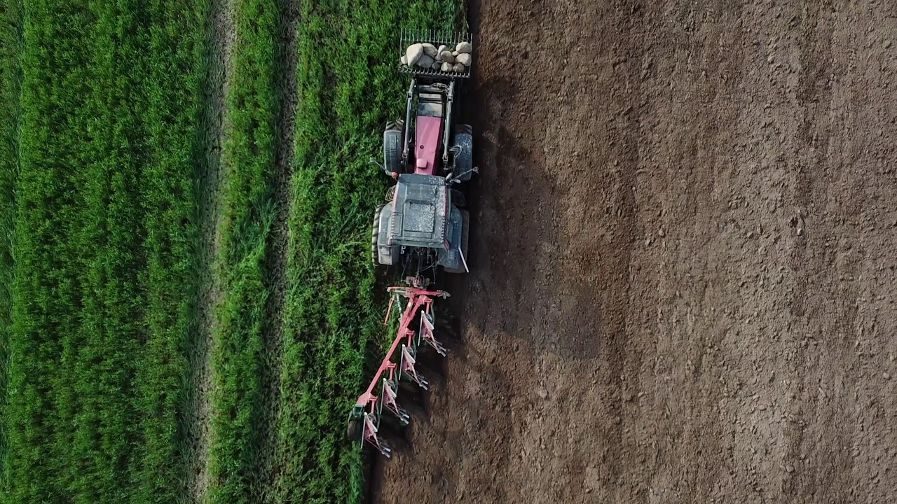Arresøgård Maskinstation | Tromling og pløjning | 2019 | 4k