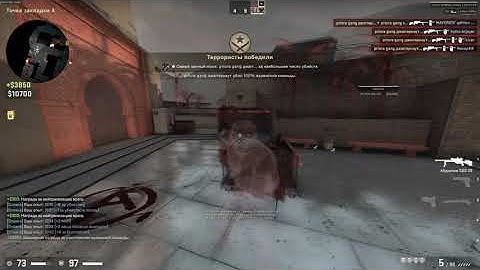 First week with PRIMORDIAL.DEV