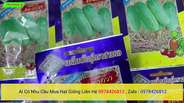 hạt giống dưa chuột mèo nhập khẩu thái lan chính hãng nguyên bao bì ai cần liên hệ 0978426812