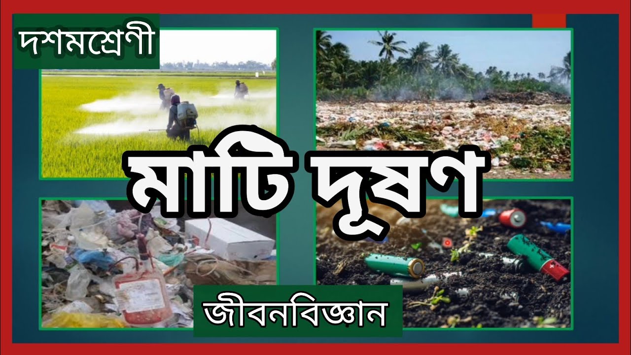environmental pollution project in bengali pdf