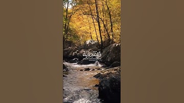 فاصبر إن وعد الله حق - تلاوة مؤثرة للشيخ عبدالباسط عبد الصمد رحمه الله