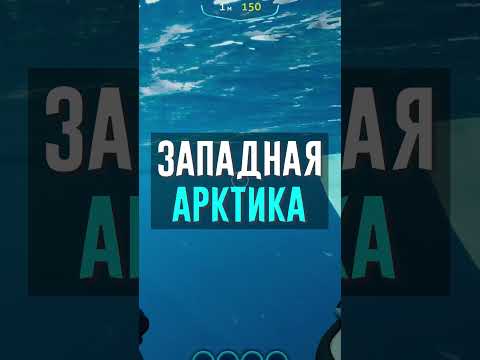 ЧЁ ДЕЛАТЬ В АРКТИКЕ?! #belowzero