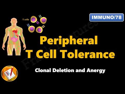 Video: Ce este anergia celulelor t?