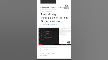 Padding Property with One Value | CSS Padding | HTML CSS | CSPunjab.Com #shorts #html #38
