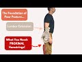 Powerful posture starts with your proximal hamstrings