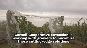 Protecting High Density Apple Orchards From Hail