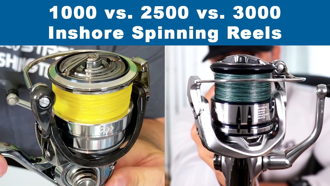 Inshore Spinning Reel Sizes (1000 vs 2500 vs 3000 Series Reels) 