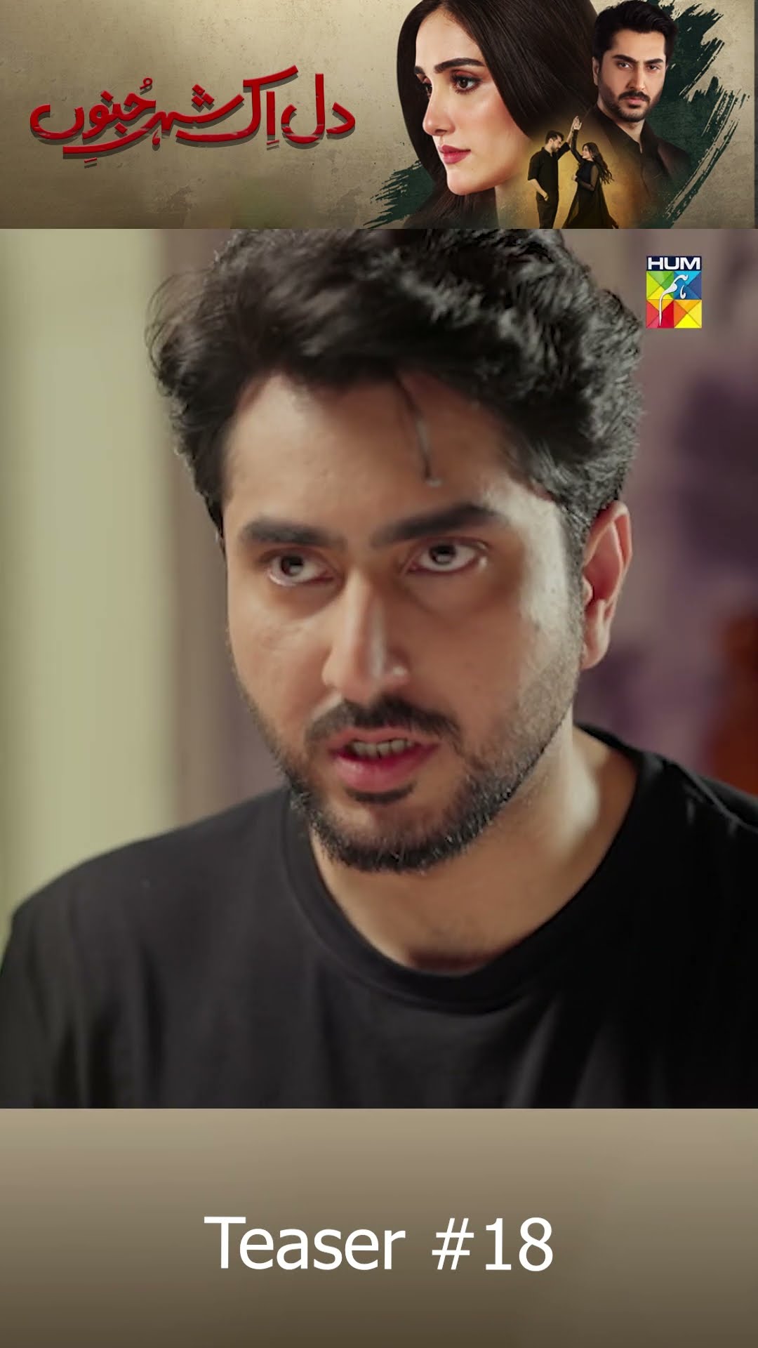 Dil IK Shehar e Junoon - Episode 18 Teaser - [ Aiza Awan \u0026 Alee Hassan Shah ] HUM TV