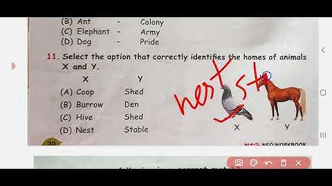 SOF NSO.chapter-3 Animals.Worksheet-3 class-1 International science olympiad.@Olympiad Winner.