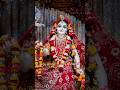 Today Darshan of Radha Madhav💞 #shorts #darshan #radhakrishna #shortsvideo