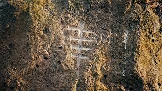 Famous BLACKTHORN: An Introduction (2026) | A Short Folk Documentary Profile